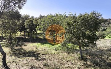 Property slide 34