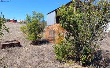 Property slide 31