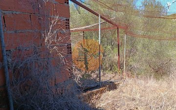 Property slide 50