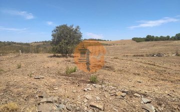 Property slide 3