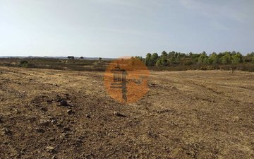 Property slide 6