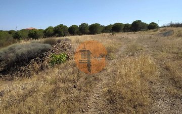Property slide 9