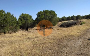 Property slide 11