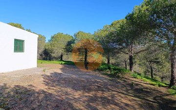 Property slide 26