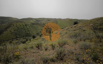 Property slide 30