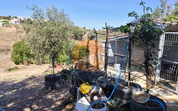 Property slide 35
