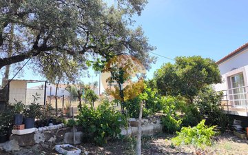 Property slide 37