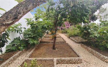 Property slide 24