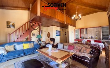 Property slide 11