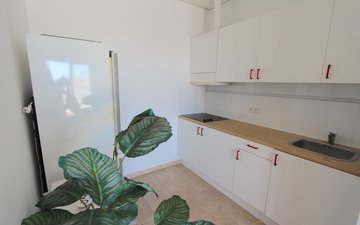 Property slide 11