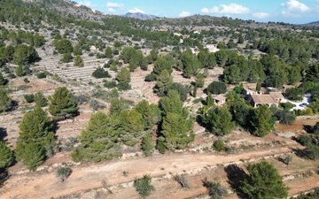 Property slide 15
