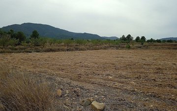 Property slide 2