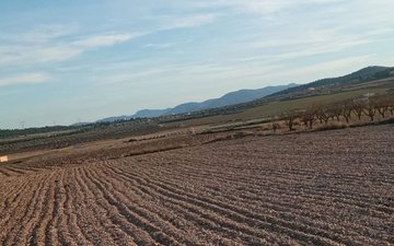Property slide 3