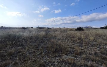 Property slide 10