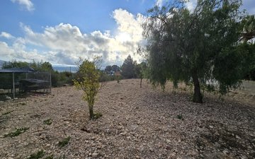Property slide 25
