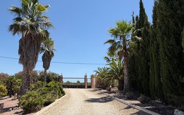 Property slide 7