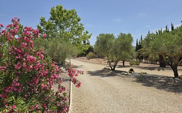 Property slide 19