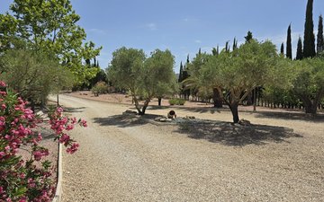 Property slide 24