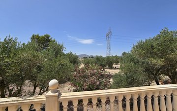 Property slide 31