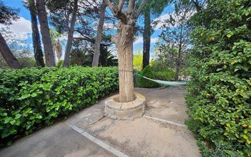 Property slide 15