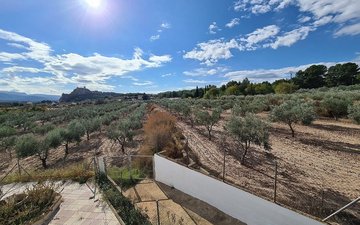 Property slide 33