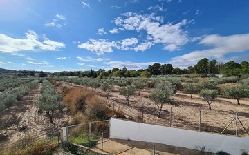 Property slide 34