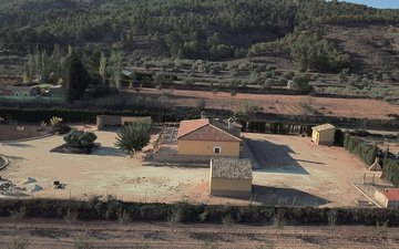 Property slide 5