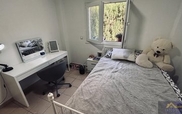 Property slide 31