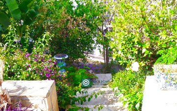 Property slide 29