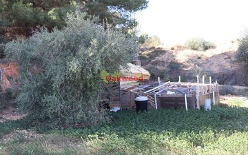 Property slide 66