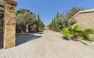Property slide 51