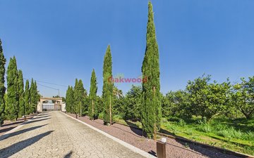 Property slide 47