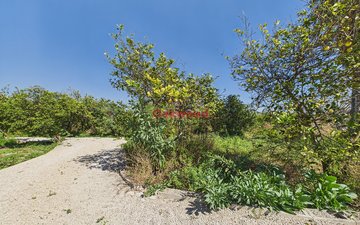 Property slide 66