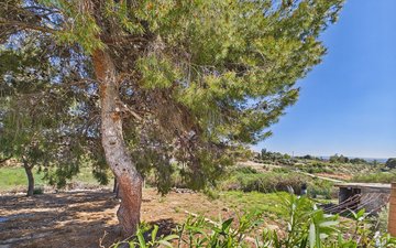 Property slide 36