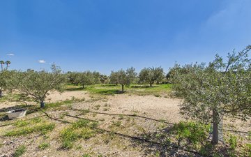 Property slide 34