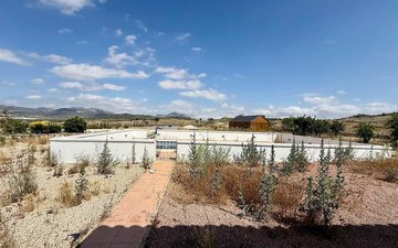 Property slide 11