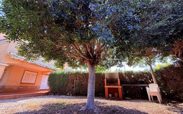 Property slide 37