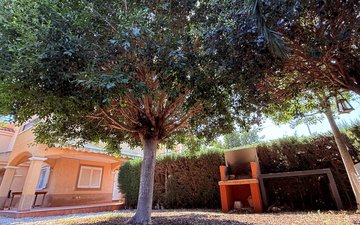 Property slide 39