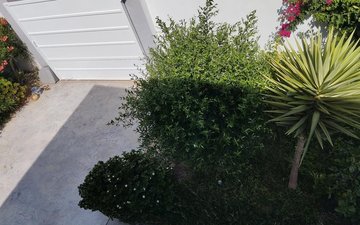 Property slide 24