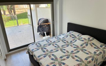 Property slide 11