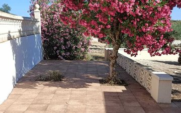 Property slide 49