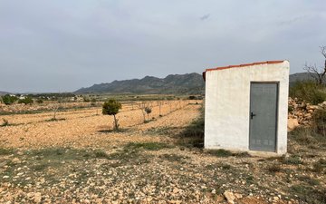 Property slide 13