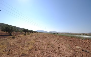 Property slide 8