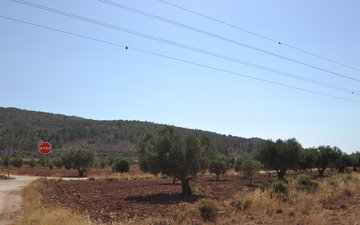 Property slide 5