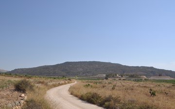 Property slide 4