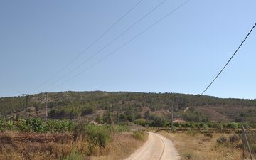 Property slide 4