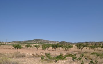 Property slide 8