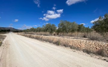 Property slide 2