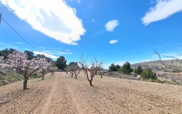 Property slide 16