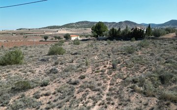 Property slide 2